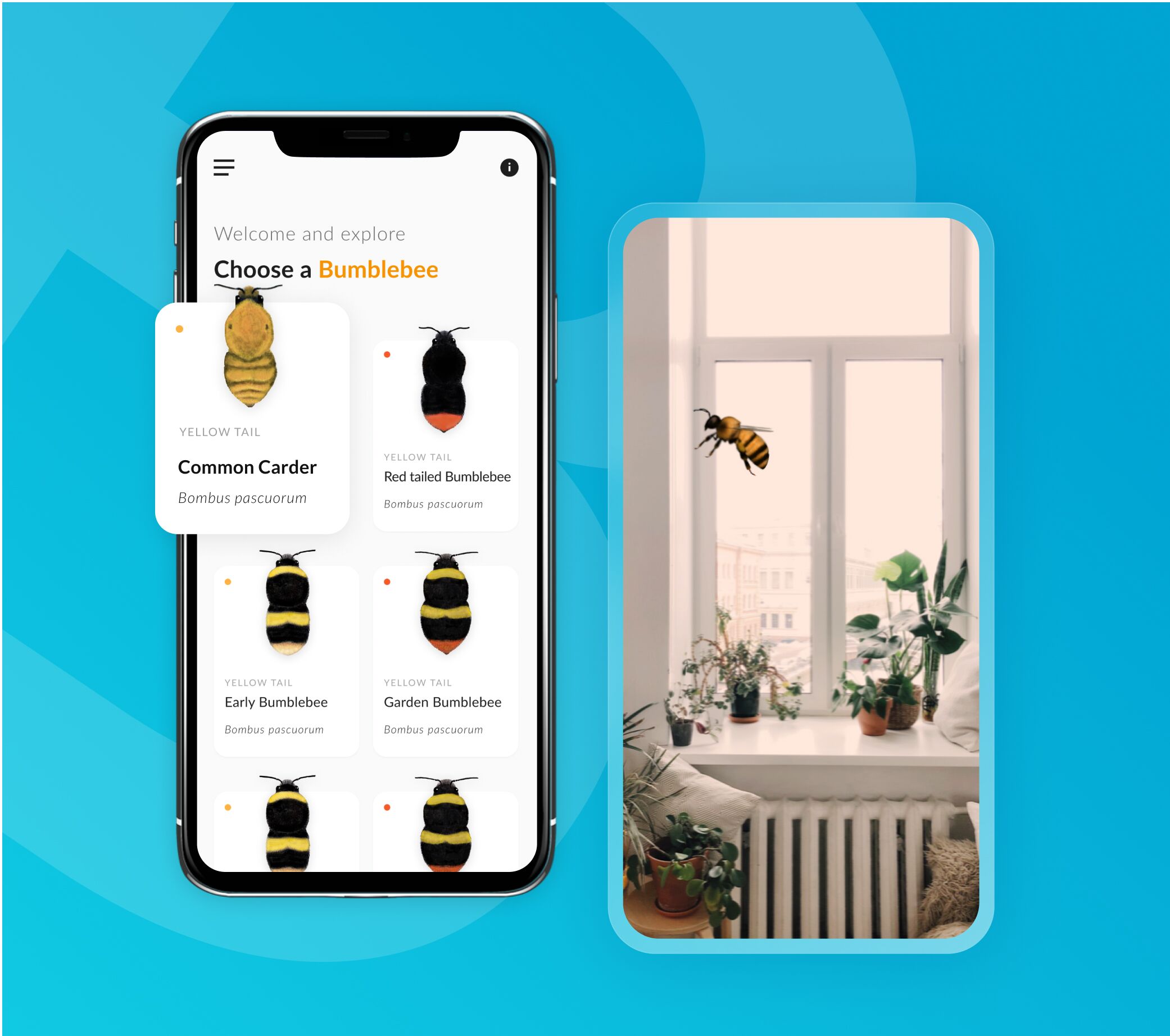 Award-winning What’s that bumblebee app built for Bumblebee Conservation Trust